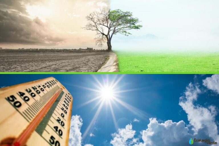 cambio climático