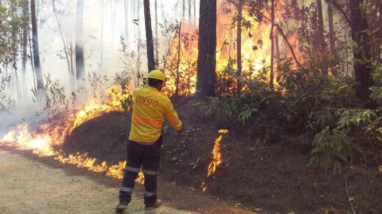 incendios