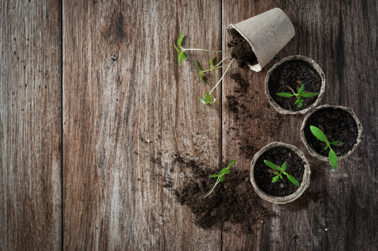AJEMEX introduce productos para usuarios más conscientes