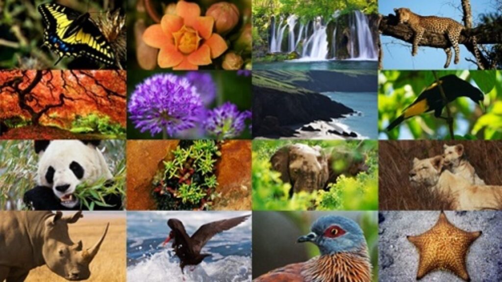 biodiversidad