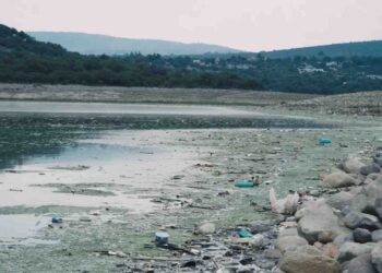 Zona de la presa Endhó será decretada Zona de Restauración Ecológica