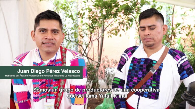 productores de café de la Cooperativa Yutsil K´inal
