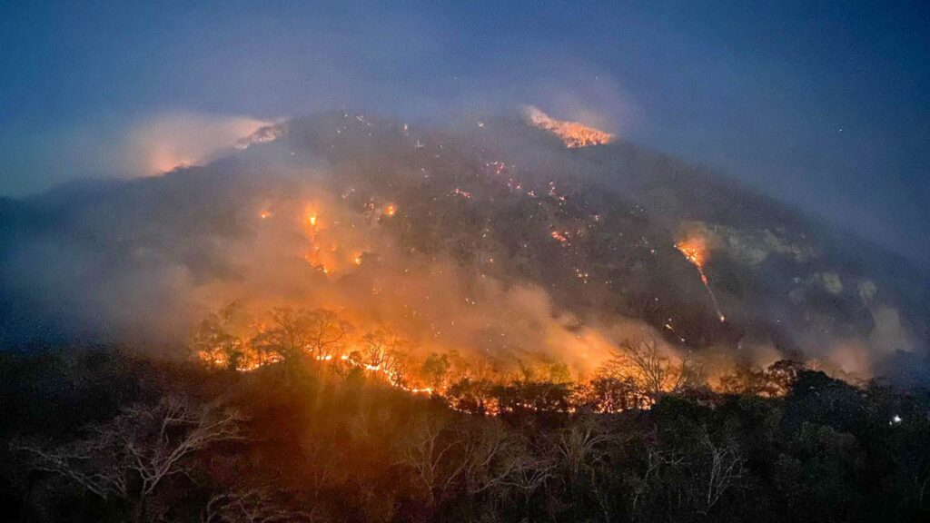 incendios-forestales