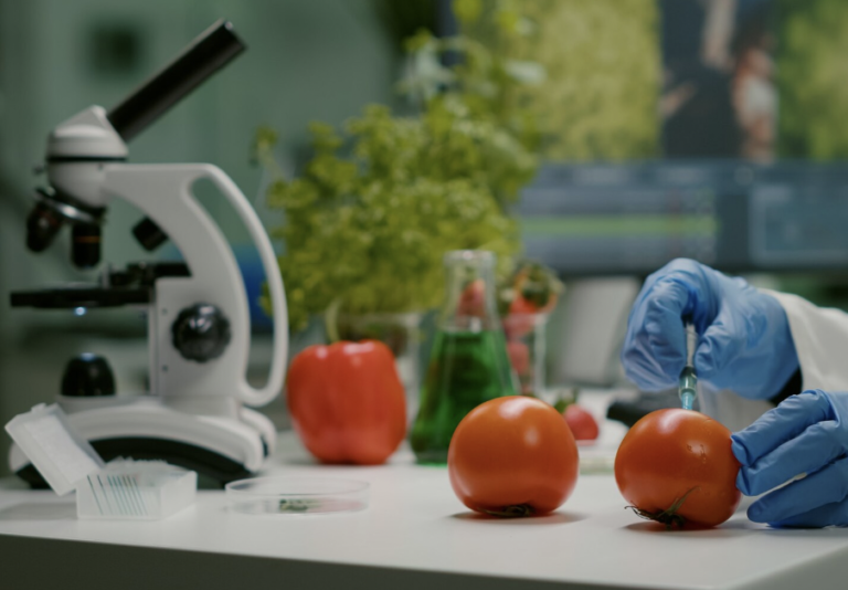 Corporativo Kosmos ha destacado la importancia de implementar la ingeniería de alimentos como una herramienta clave para lograr una producción óptima y sustentable.