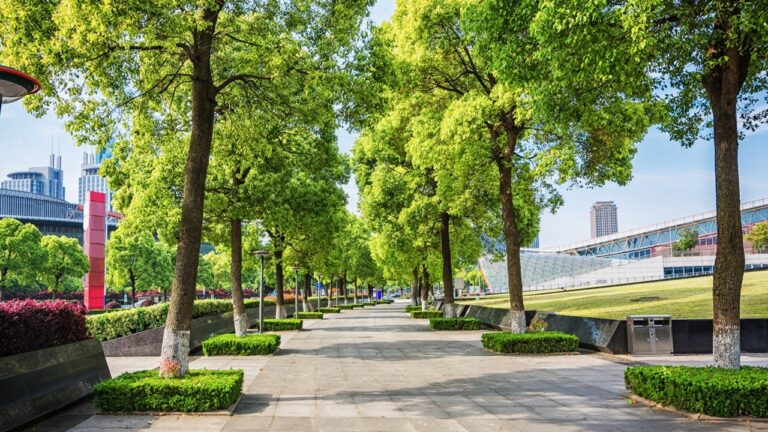Ciudades del futuro requerirán más áreas verdes