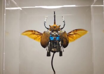 Insectos mecánicos recopilarán datos ambientales
