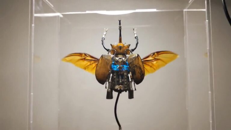 Insectos mecánicos recopilarán datos ambientales
