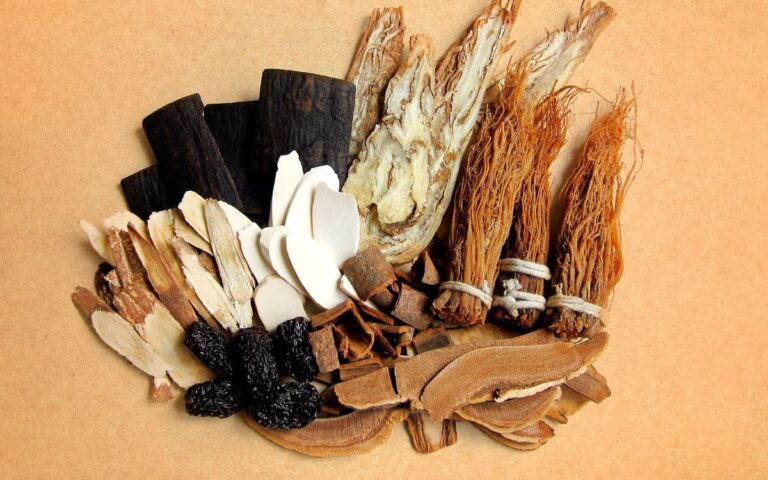 medicina-tradicional