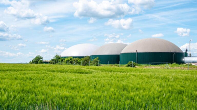 biogas