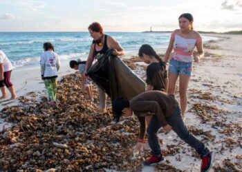Presentan plan nacional para eliminar residuos plásticos