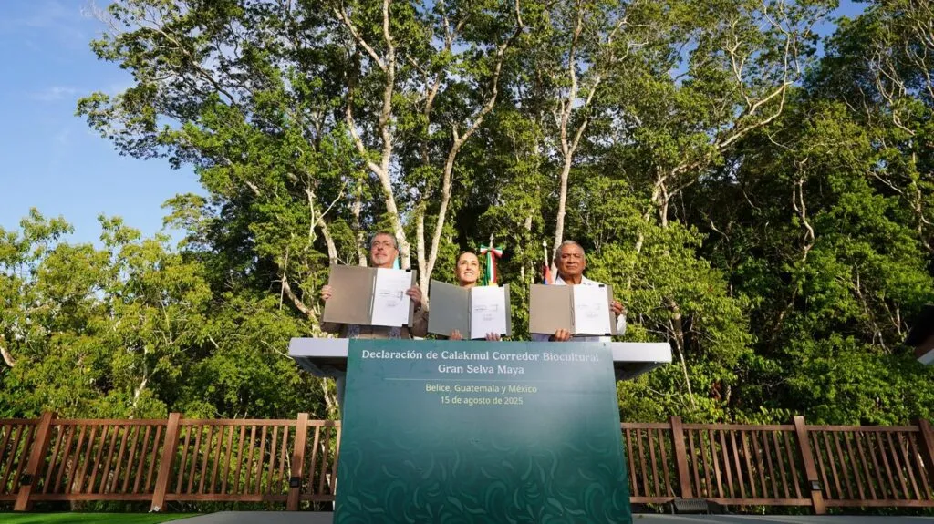 Corredor Biocultural de la Gran Selva Maya