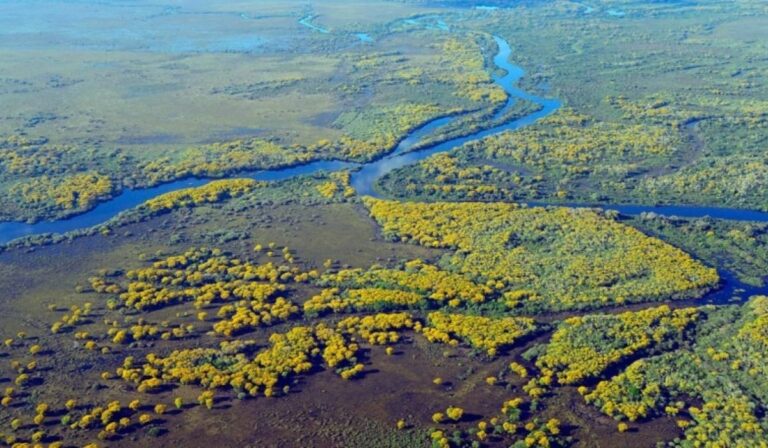 Cambio climático pone en jaque los acuíferos de Brasil y amenaza el acceso al agua