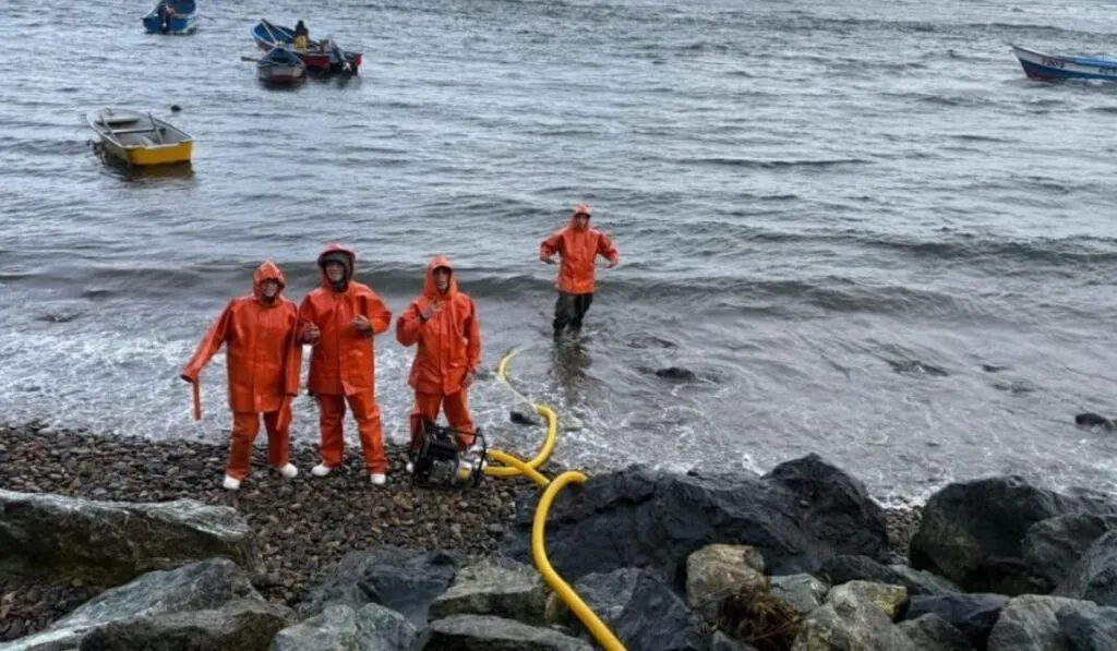 Chile: saberes indígenas y ciencia se unen para salvar al choro zapato