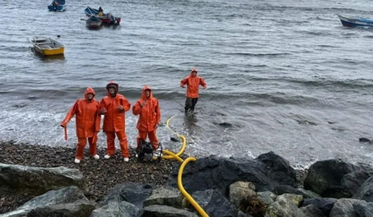 Chile: saberes indígenas y ciencia se unen para salvar al choro zapato