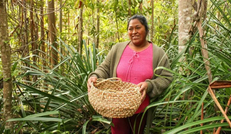 Comunidades rurales que luchan contra la deforestación en América del Sur