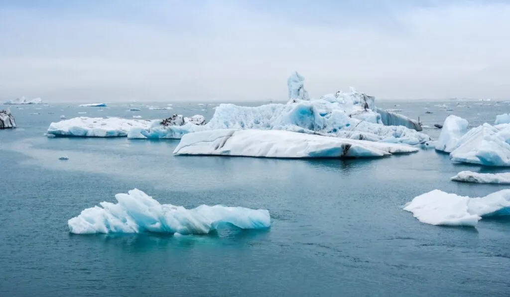 El iceberg A23a, uno de los más grandes del mundo, se desintegra tras casi 40 años a la deriva