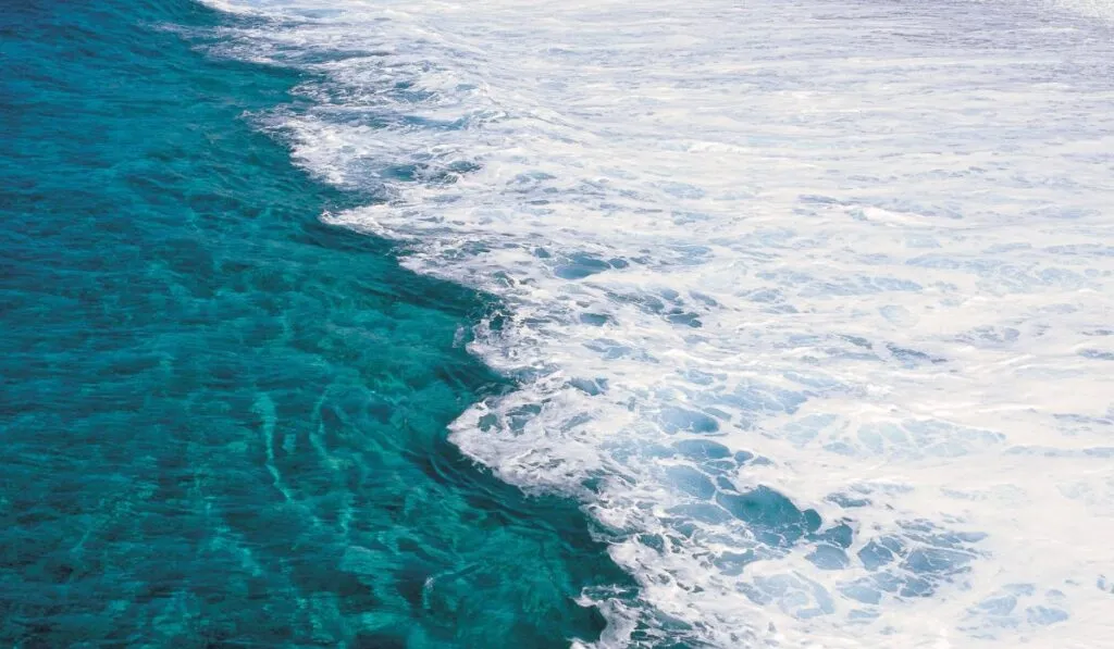 El impacto humano en los océanos podría triplicarse en los próximos 25 años, advierte estudio