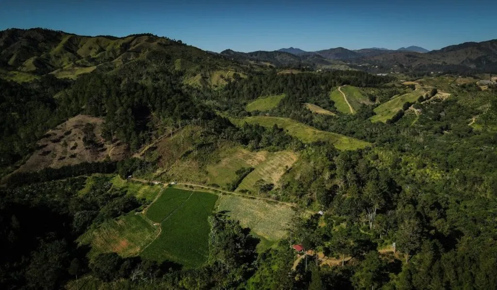 El milagro verde de República Dominicana: cómo el país recuperó una quinta parte de su tierra en solo 10 años
