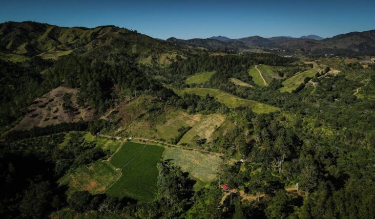 El milagro verde de República Dominicana: cómo el país recuperó una quinta parte de su tierra en solo 10 años