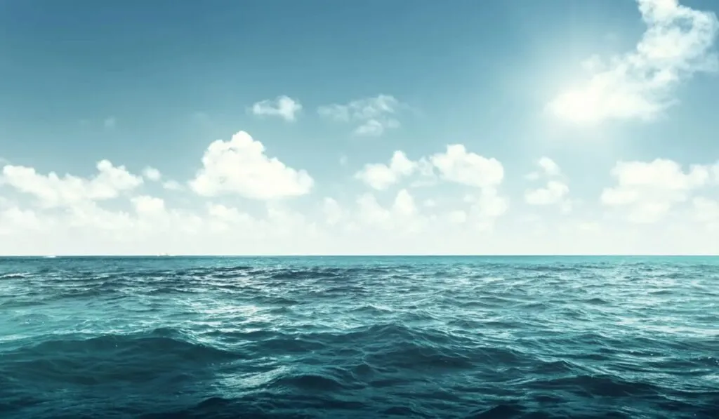 El Pacífico Norte sufre una “fiebre oceánica” de 8,000 kilómetros que alerta a científicos