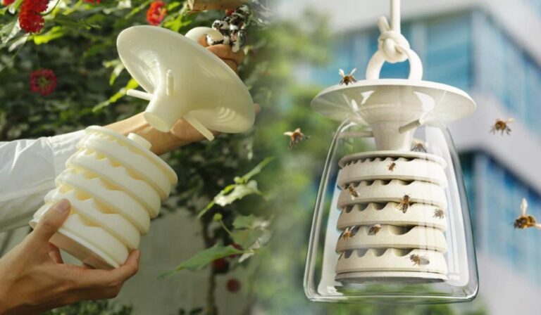 Estudiante crea refugios modulares para abejas solitarias y lo nombra "CityBee"