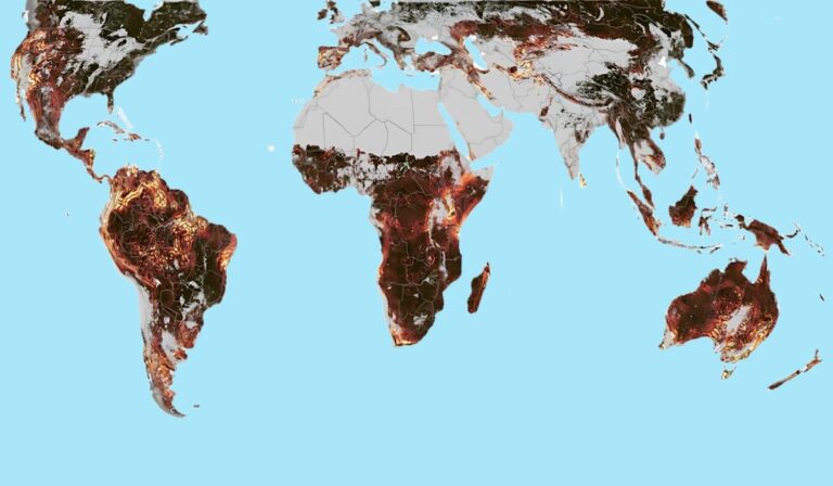 Imágenes satelitales revelan que las estaciones del año están desfasadas en varias regiones del planeta
