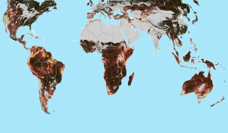 Imágenes satelitales revelan que las estaciones del año están desfasadas en varias regiones del planeta