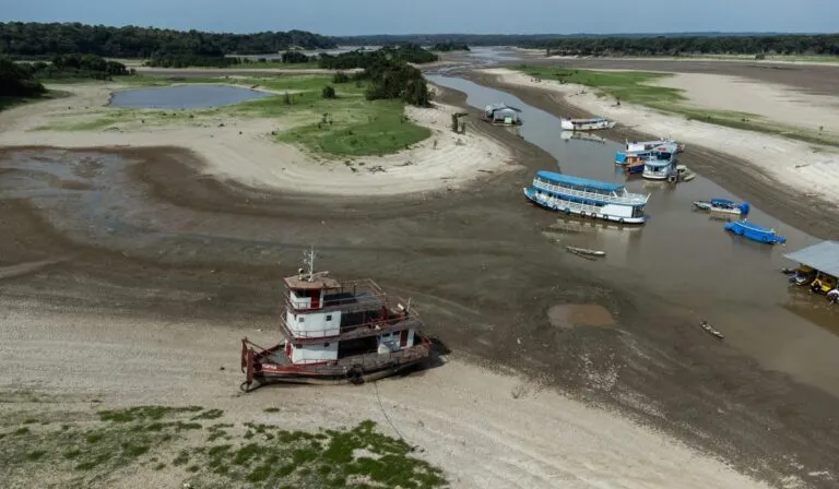 La Amazonía pierde lluvia: un nuevo estudio revela la causa de la sequía