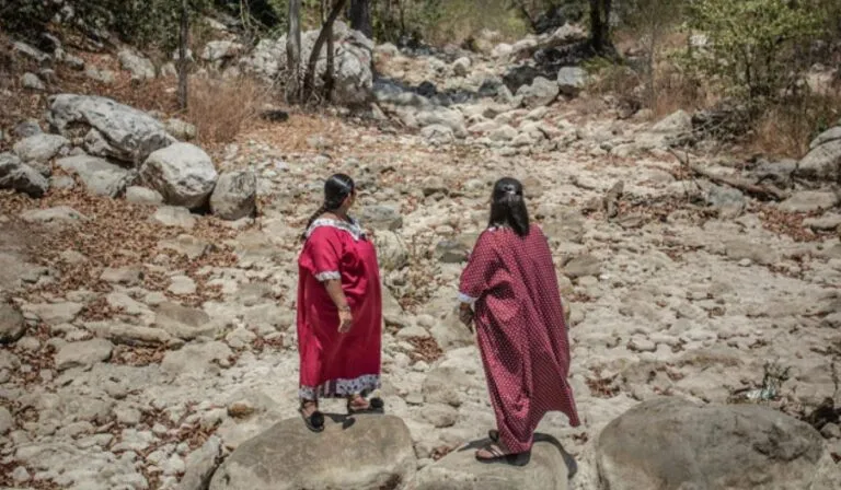 Latinoamérica, la región más peligrosa para los defensores ambientales