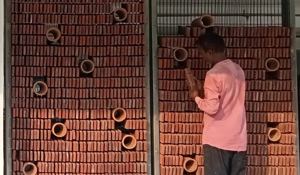 Terracota: el secreto milenario de India que podría salvarnos del calor extremo