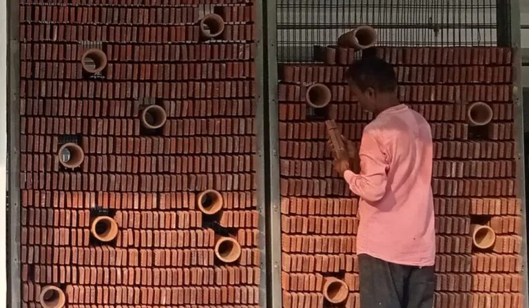 Terracota: el secreto milenario de India que podría salvarnos del calor extremo