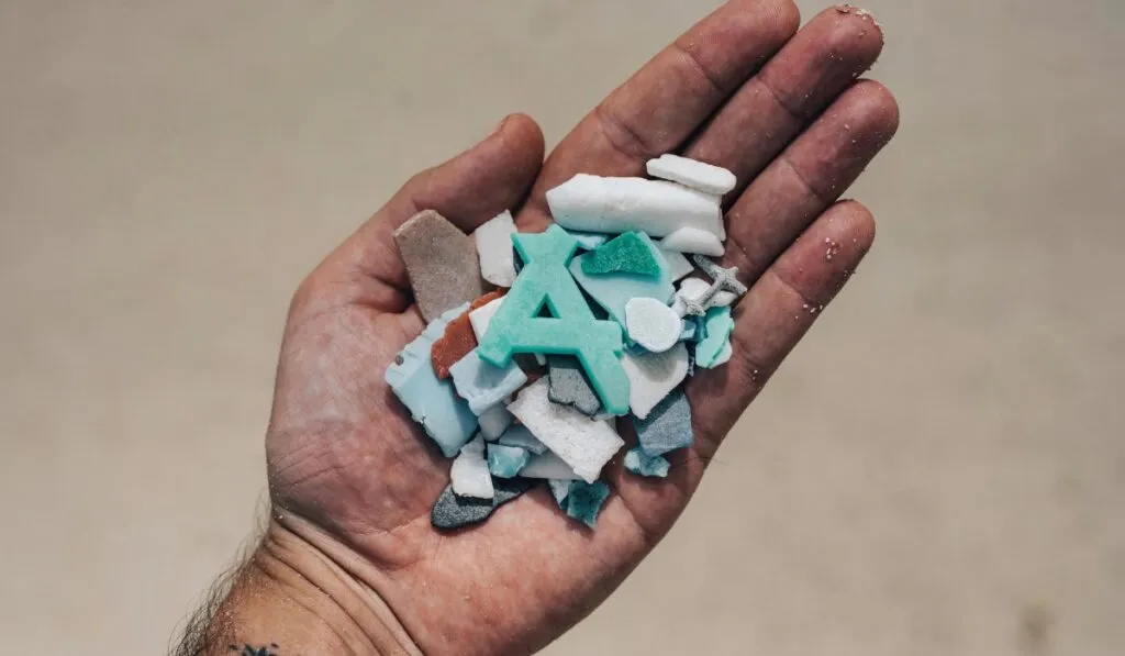 Una alternativa al petróleo para fabricar plásticos es generada por Japón