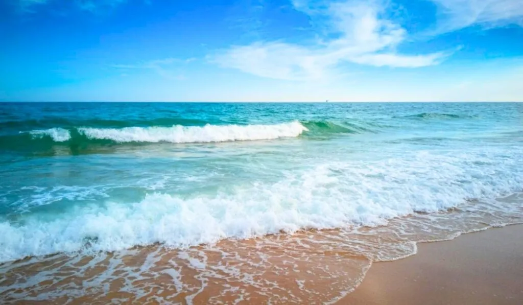 Cuando la Tierra se ahogó: descubren que los océanos fueron 20 metros más altos que hoy