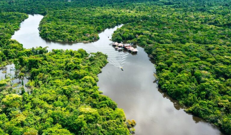 Descubren 27 nuevas especies en la selva de Perú y sorprenden al mundo científico