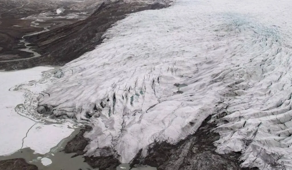 Descubren un proceso biológico oculto bajo el hielo del Ártico que podría transformar la vida marina