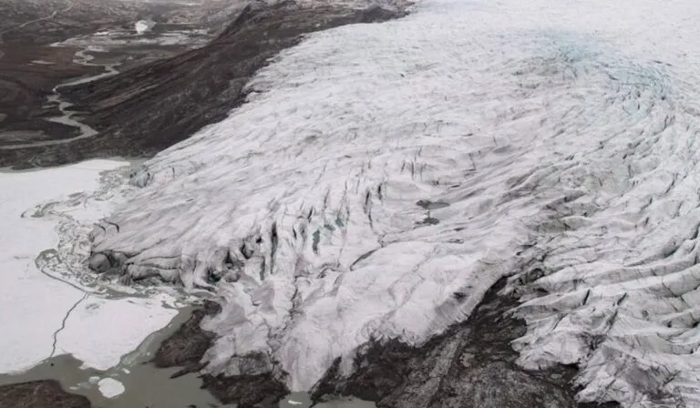 Descubren un proceso biológico oculto bajo el hielo del Ártico que podría transformar la vida marina