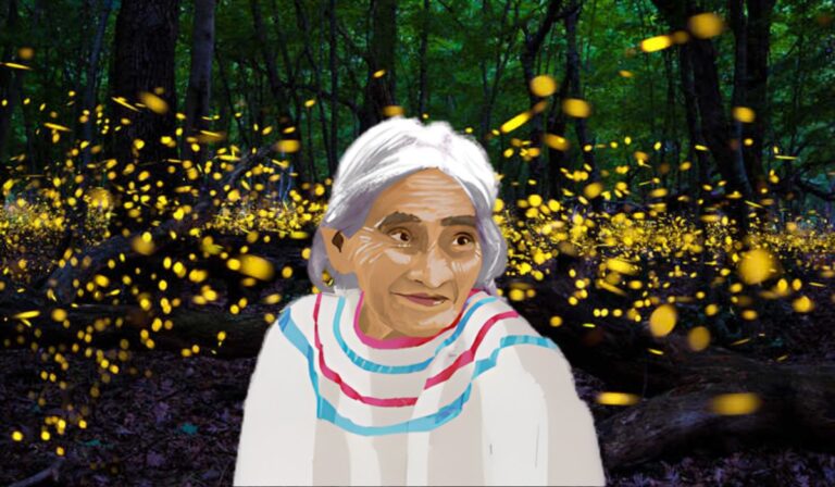 Descubren una nueva luciérnaga en Chapultepec y lleva el nombre de María Sabina