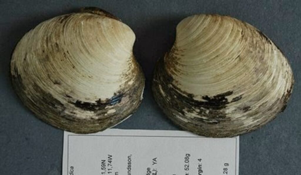 El Atlántico Norte podría estar cerca de un punto de inflexión climático, advierte nuevo estudio