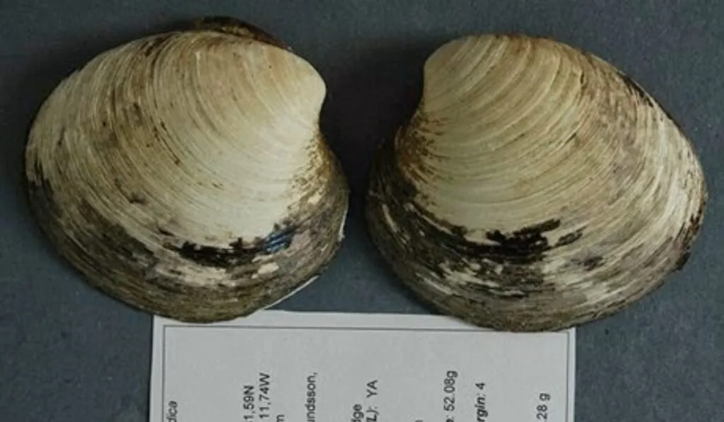 El Atlántico Norte podría estar cerca de un punto de inflexión climático, advierte nuevo estudio