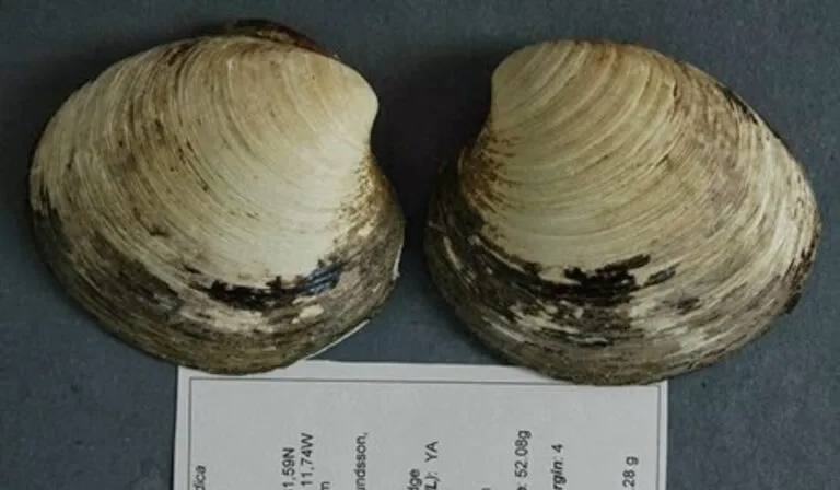 El Atlántico Norte podría estar cerca de un punto de inflexión climático, advierte nuevo estudio