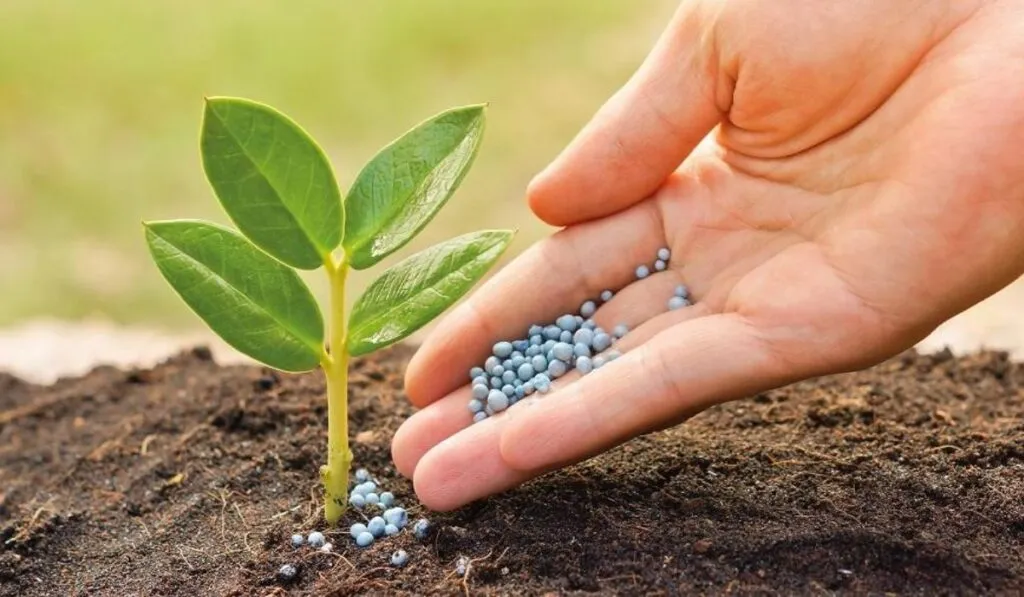 El experimento agrícola más antiguo del mundo revela un hallazgo sorprendente sobre los fertilizantes y el carbono del suelo