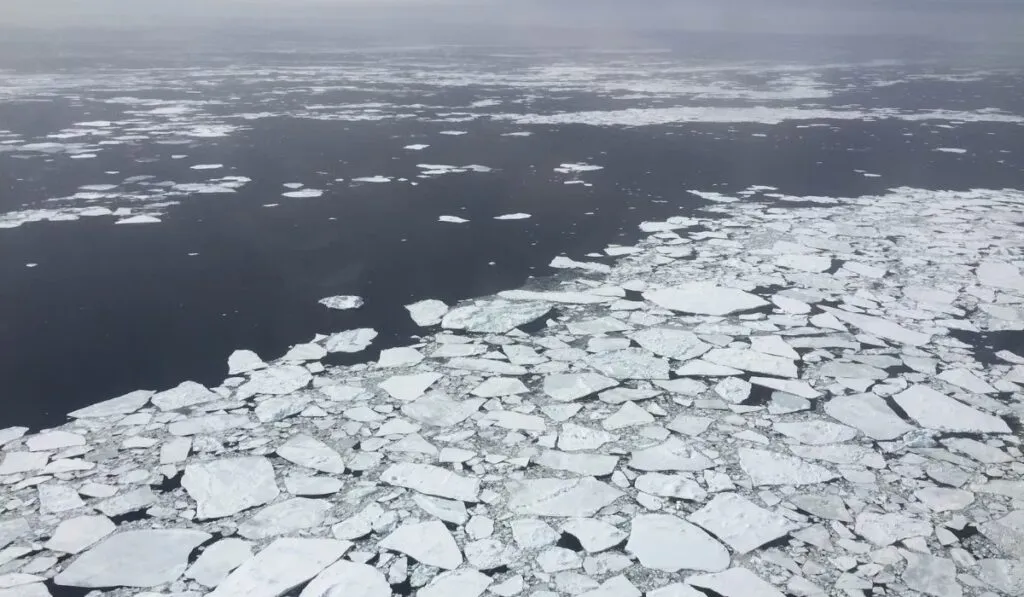 El hielo en la Antártida alcanza su tercer nivel invernal más bajo en 50 años