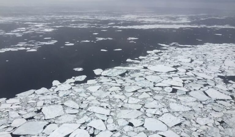 El hielo en la Antártida alcanza su tercer nivel invernal más bajo en 50 años