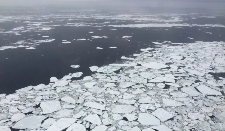 El hielo en la Antártida alcanza su tercer nivel invernal más bajo en 50 años