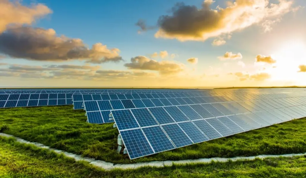 Energías limpias dominan el 2025: sol y viento superan al carbón y cubren demanda eléctrica mundial