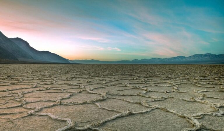 La aridez nos consume: estudio global revela cómo las sequías están secando la mitad del planeta
