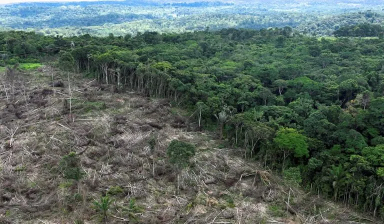 Las tierras indígenas: el escudo invisible que protege a la Amazonia de la deforestación