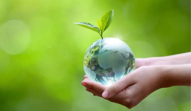 Las tres acciones más efectivas para cuidar el planeta, según la ciencia