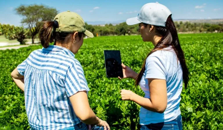 México suma 13 proyectos del Fondo Verde de la ONU por 150 mdd