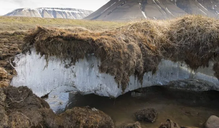 Reviven microbios del permafrost con 40.000 años atrapados en el hielo de Alaska